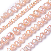 Shell & Pearl Beads